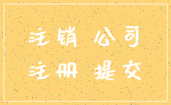 分公司注销了可以执行母公司吗