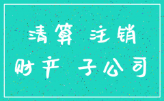 主公司下面子公司注销