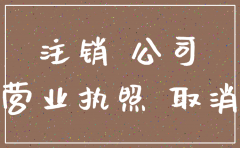 北京公司执照不注销有什么后果