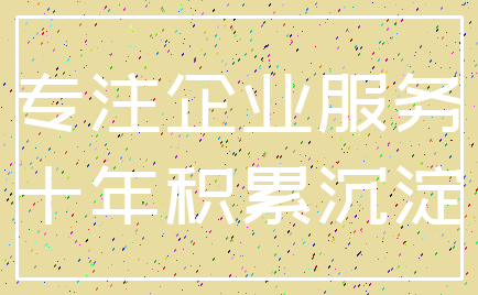 专注企业服务_十年积累沉淀