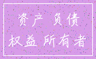 资产 负债_权益 所有者