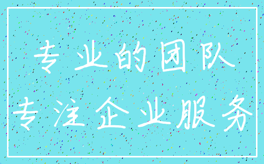 专业的团队_专注企业服务