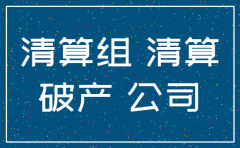 注销公司清算组成员几人