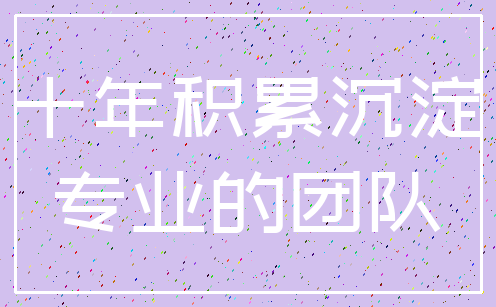 十年积累沉淀_专业的团队
