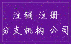 关于分公司的注销