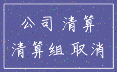 软件公司注销查账