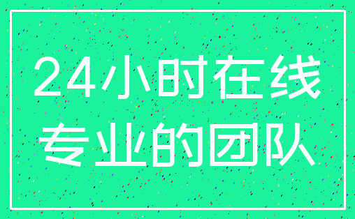 24小时在线_专业的团队