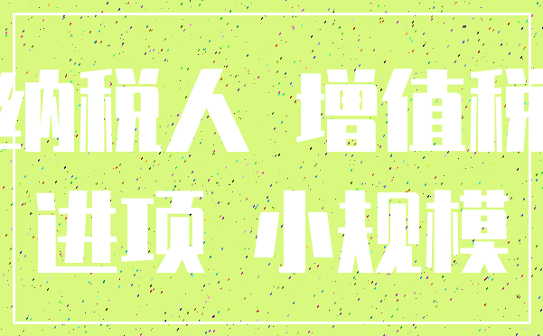 纳税人 增值税_进项 小规模