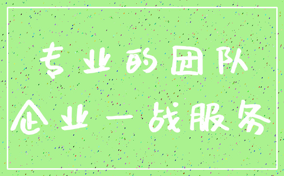 专业的团队_企业一战服务