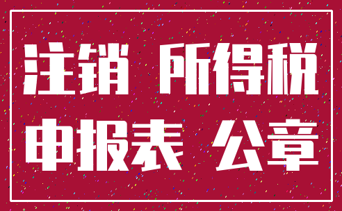 注销 所得税_申报表 公章