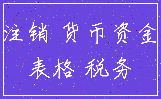 注销 货币资金_表格 税务