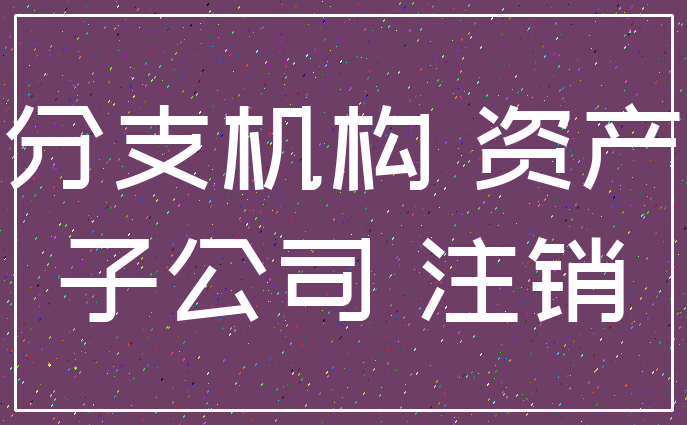 分支机构 资产_子公司 注销