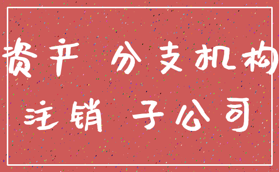 资产 分支机构_注销 子公司