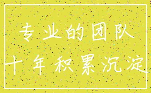 专业的团队_十年积累沉淀