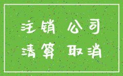 在哪里可以找到公司注销公告