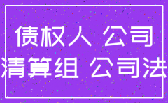 公司被注销 起诉股东的法律依据