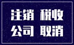 已经注销的企业还怎么查公司流水