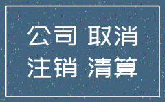 公司刚成立就注销 写什么理由