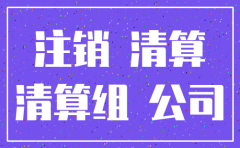 公司取得另一注销企业资金