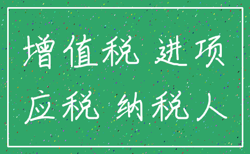 增值税 进项_应税 纳税人