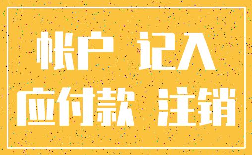 帐户 记入_应付款 注销