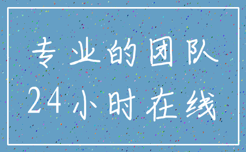 专业的团队_24小时在线