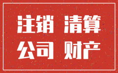 小公司没有会计怎么注销公司