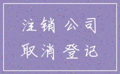 注销公司可以在工商局网上吗