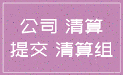 公司注销分公司备案申请书