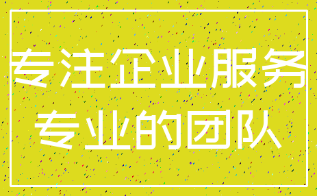 专注企业服务_专业的团队