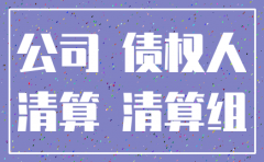 法人私自注销公司怎么向法院起诉