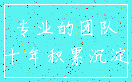 专业的团队_十年积累沉淀