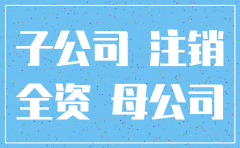 上市公司全资子公司注销