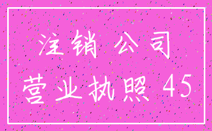 注销 公司_营业执照 45