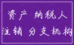 注销子公司账务处理啥时候做