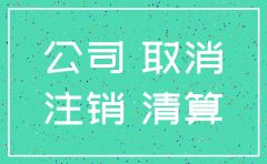 税务简易注销公司流程及资料