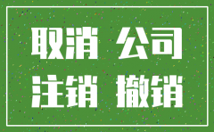 公司未使用注销