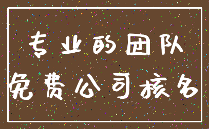 专业的团队_免费公司核名