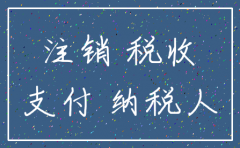 2019年停止公司注销