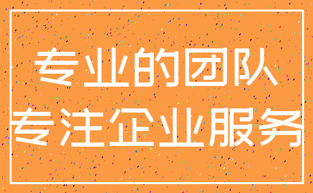 专业的团队_专注企业服务