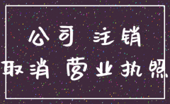 委托书范本公司委托个人办理注销税务
