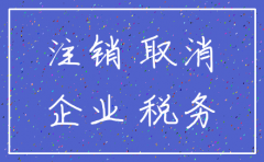 税务申请公司注销报告