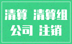 企业合并原公司注销的流程