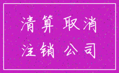 小规模公司税务登记注销决议