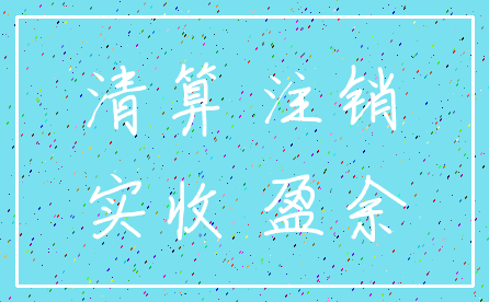 清算 注销_实收 盈余