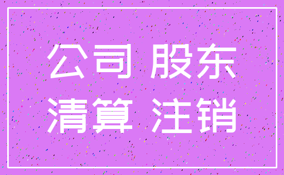 公司 股东_清算 注销