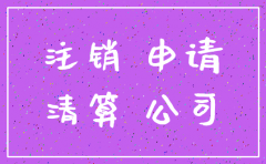 小规模公司注销报告样本