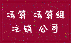 小规模公司注销清算报告如何填6