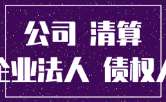 法院起诉注销公司财务问题