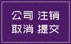 注销公司的费用申请报告